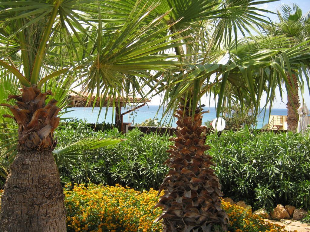 Villa Baia Di Cornino Кустоначи Номер фото